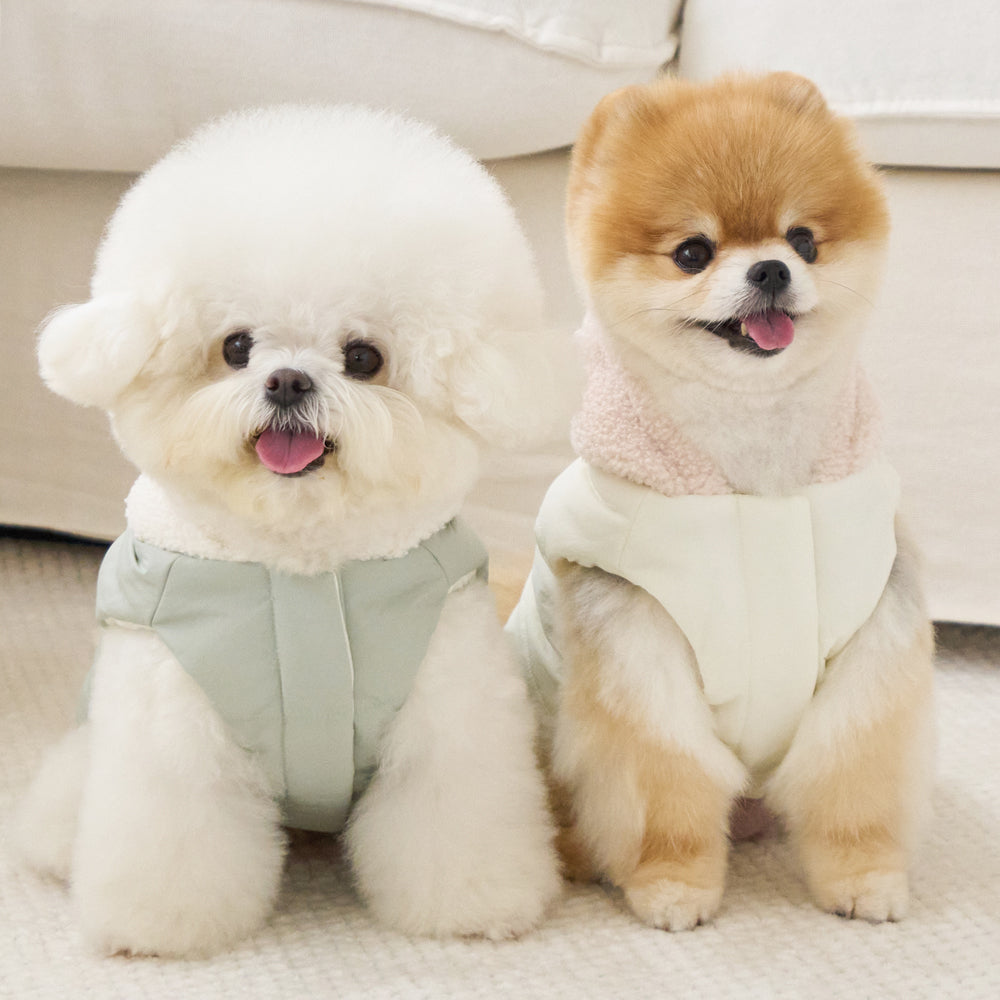 BENNYS(べニーズ) MOCHI SOFT SHORT PADDING