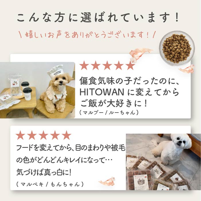 犬の手作りごはん 鯖と南瓜|シニア犬向け DHA・オメガ3 乳酸菌入り