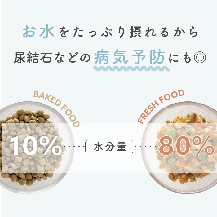 犬の手作りごはん 鹿肉と薩摩芋|北海道産エゾ鹿 サステナブル 乳酸菌入り