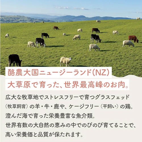 【定期便】ラムグリーン トライプ (子羊の胃袋) | フリーズドライ栄養補助食 3袋セット