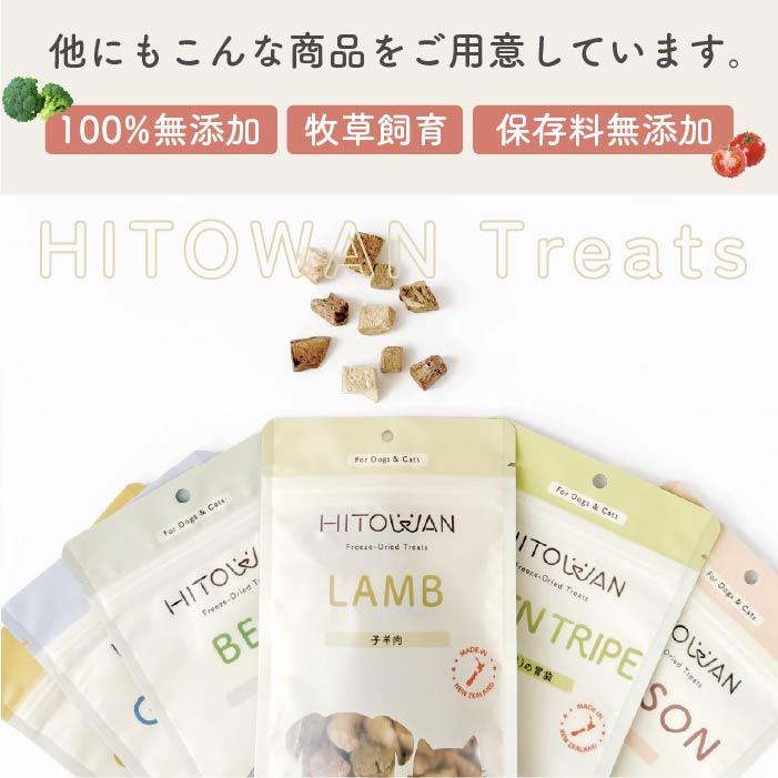 生食フリーズドライ ビーフ | 選べる3サイズ