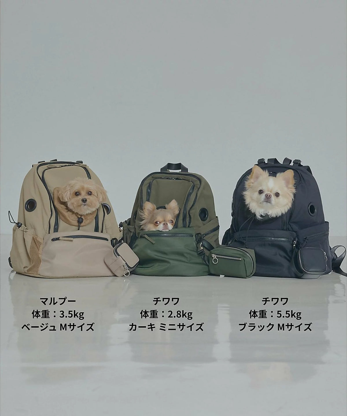 MATIE(メイティ) ペットリュック ブラック【Direction by 有末 麻祐子】