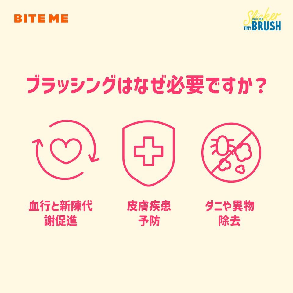 biteme (バイトミー) スリッカーブラシ