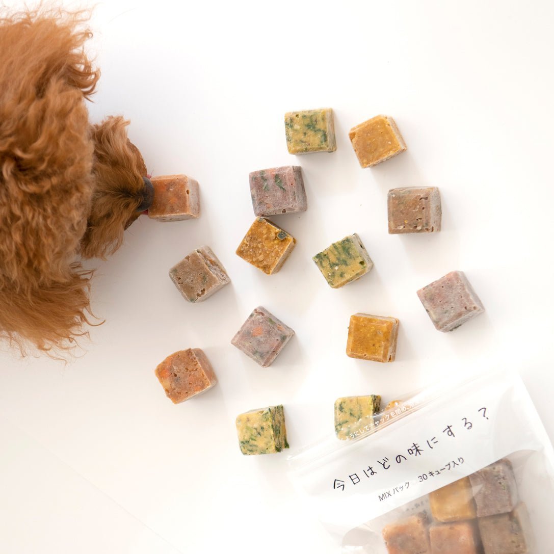 【数量限定】4種の人気キューブミックス(20キューブ)