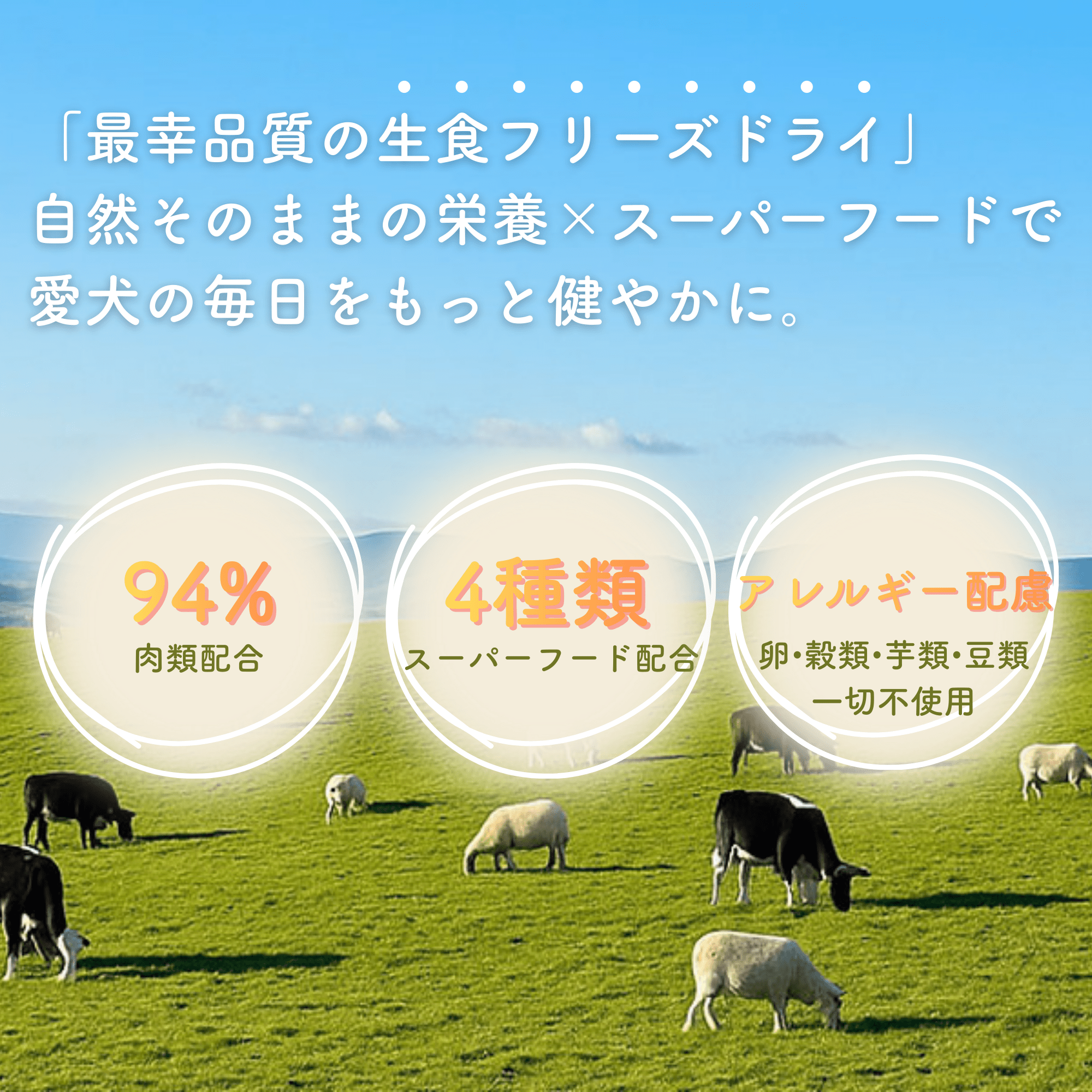 【送料無料!!】初回限定 | 3種の食べ比べお試しセット(ベニソン / ビーフ / ラム&サーモン)生食フリーズドライ