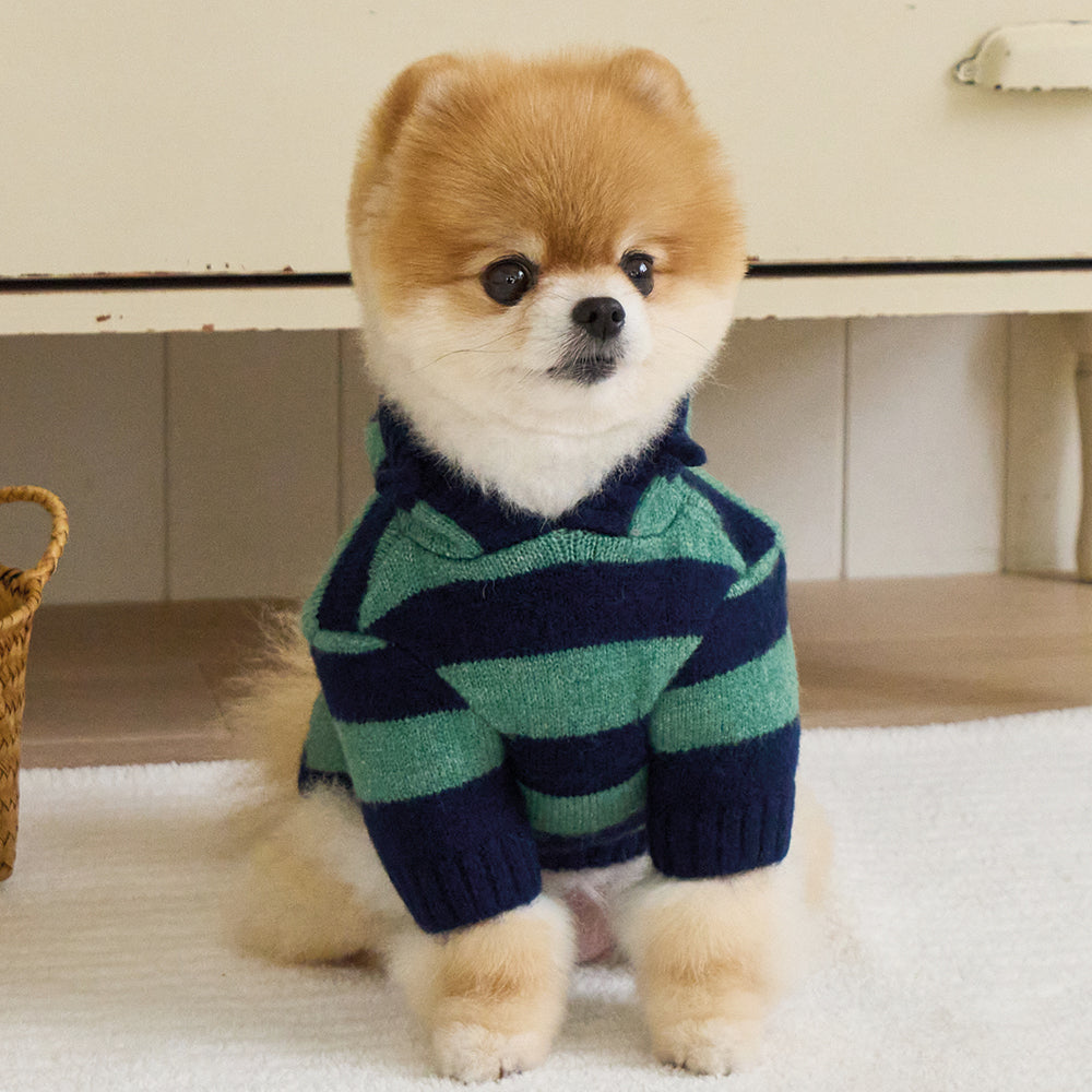 BENNYS(べニーズ)  JOY STRIPE KNIT