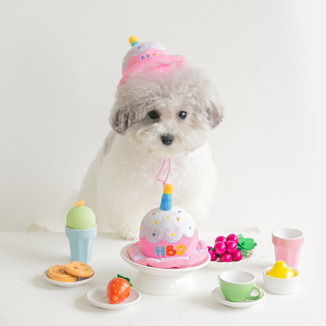 【当店別注】犬の帽子　バースデーハット　誕生日帽子 しつけ用品