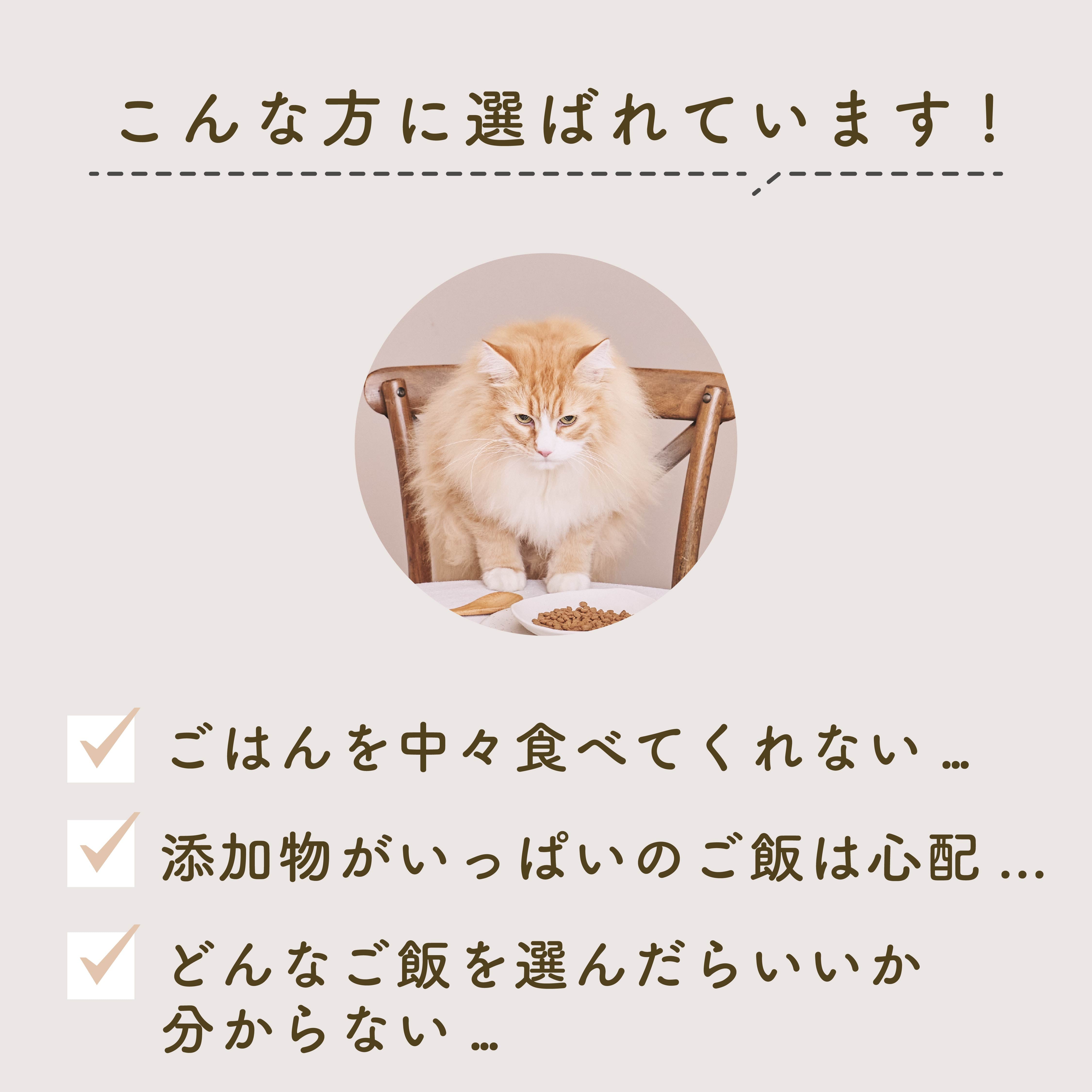 鰹と鶏肉のごはん | 選べるサイズ