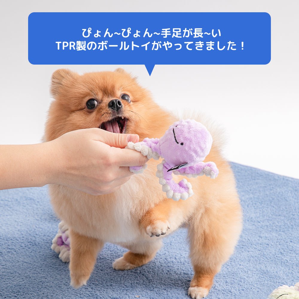 BITE ME (バイトミー) ぴょんぴょんボールおもちゃ | 音が鳴るおもちゃ