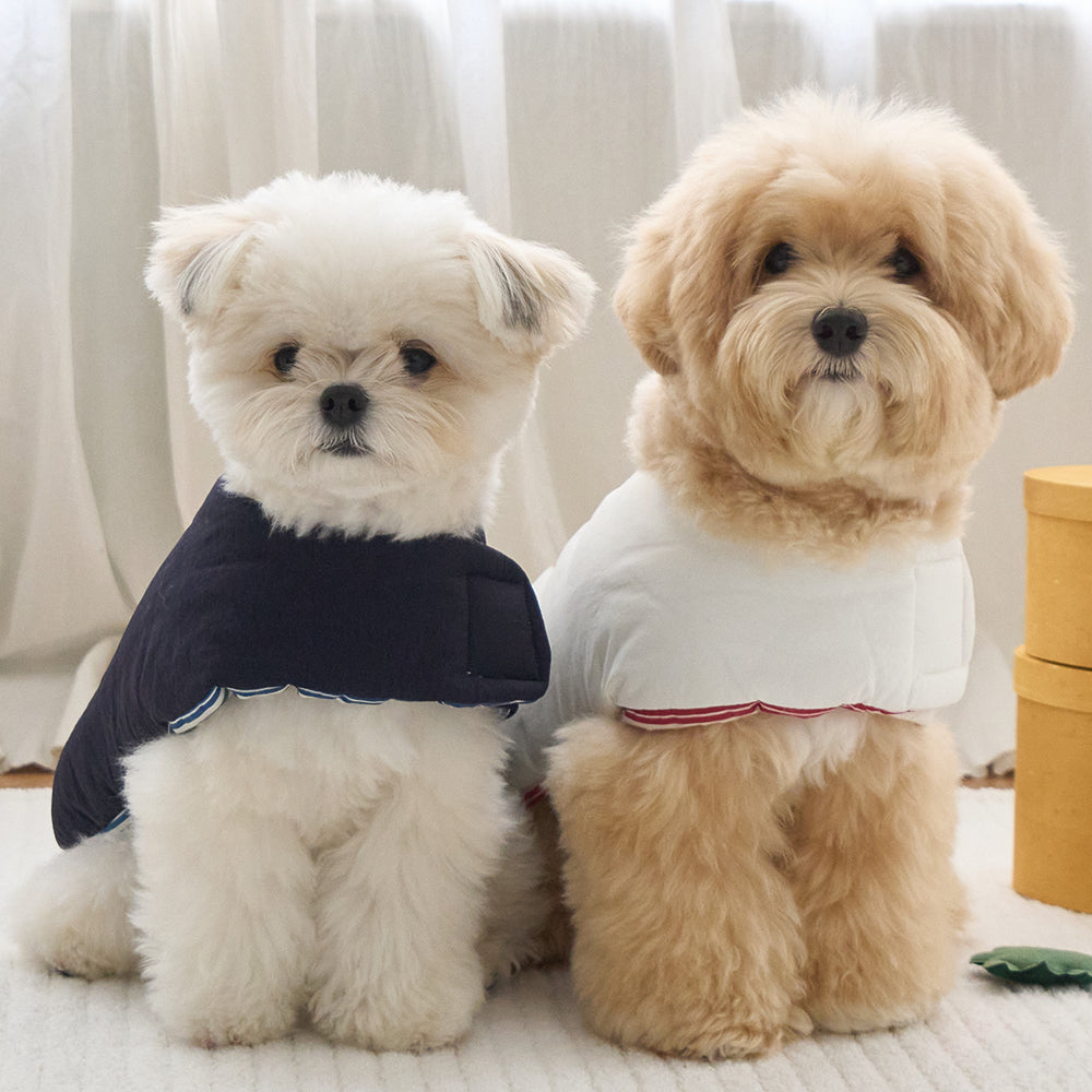 BENNYS(べニーズ)  WINTER SOFT REVERSIBLE PADDING