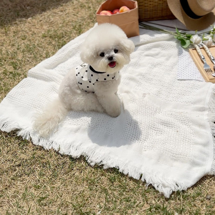TODLEY(トドゥリー) Dot Harness