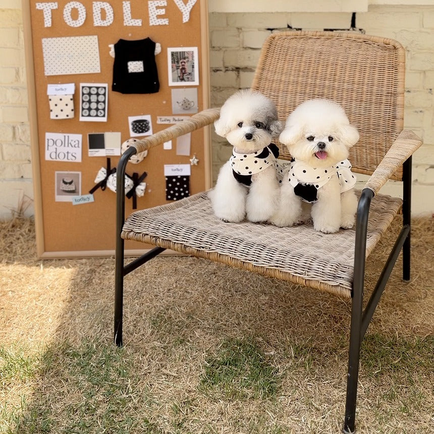 TODLEY(トドゥリー) Dot Harness