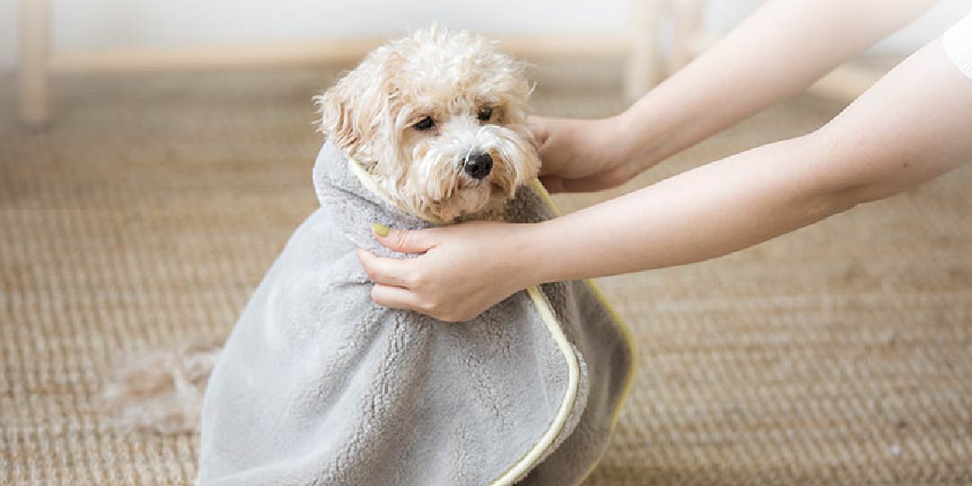 biteme (バイトミー) マイクロファイバータオル