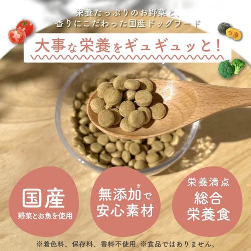 【定期便】国産ドッグフード ベニソン鹿肉 1.5kg｜腸活 乳酸菌 低脂質
