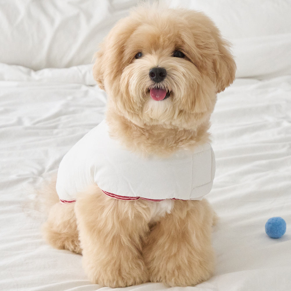 BENNYS(べニーズ)  WINTER SOFT REVERSIBLE PADDING