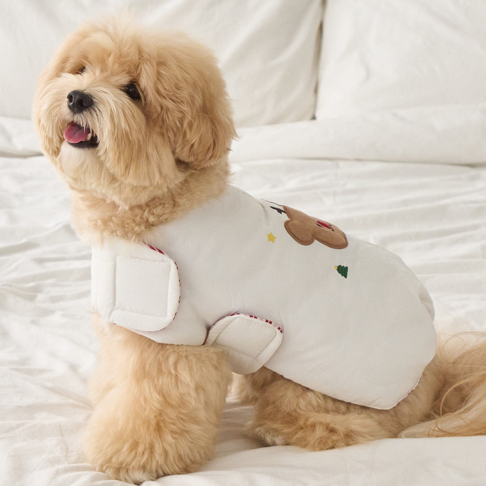 BENNYS(べニーズ)  WINTER SOFT REVERSIBLE PADDING