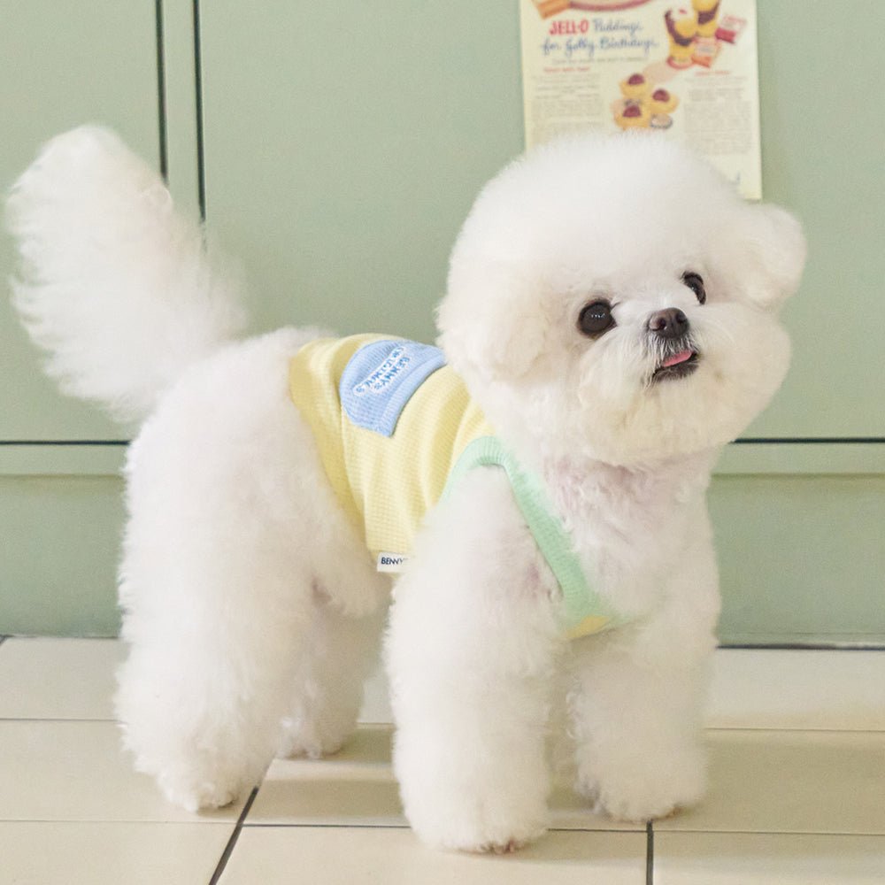 BENNYS(べニーズ)  Palette Crop Top (イエロー)