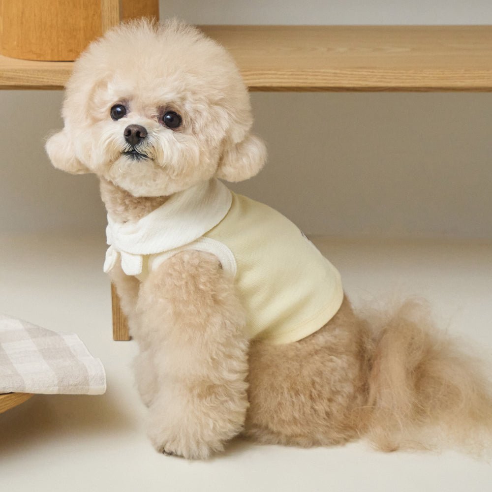 BENNYS(べニーズ) Bow Collar Crop T-shirt (イエロー)