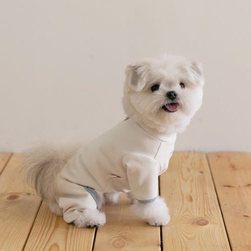 SSFW(エスエスエフダブリュー) Easy Cozy All in One （イージーコージー オールインワン）（3colors）