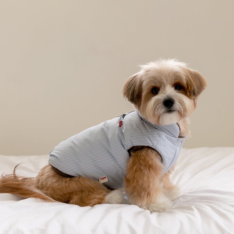 新品 SSFW リバーシブルパフジャケット ダウン 韓国犬服 SSFW(エスエスエフダブリュー) モングル リバーシブル ダウンジャケット