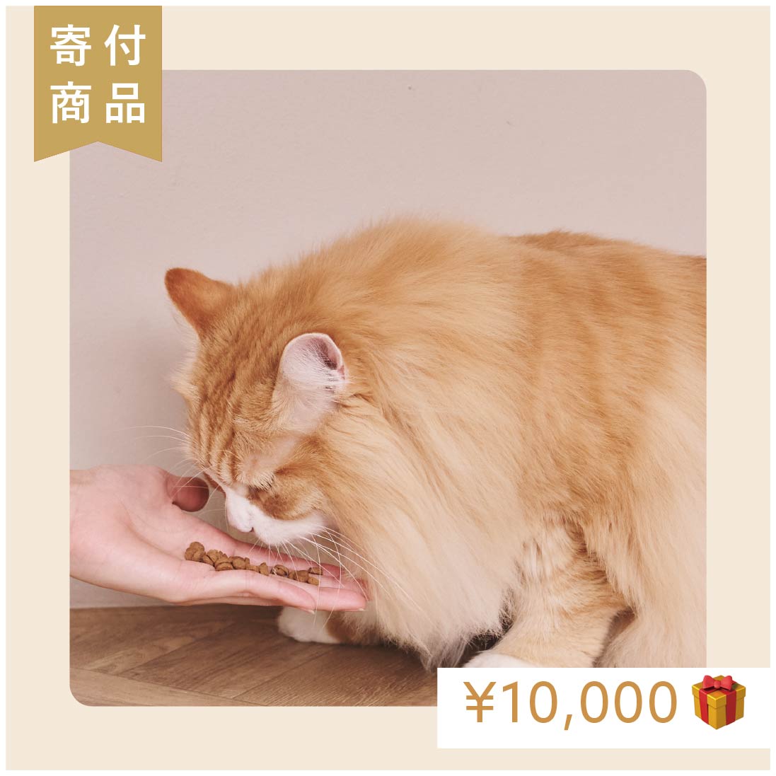 【10,000円分寄付】1フードfor1スマイル｜ヒトワンのごはん