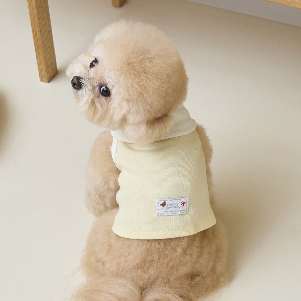 BENNYS(べニーズ) Bow Collar Crop T-shirt (イエロー)