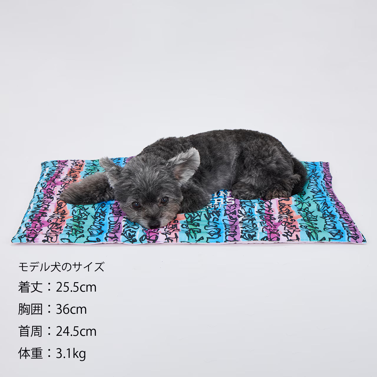 MANDARINE BROTHERS(マンダリンブラザーズ)  COOL CAFE MAT