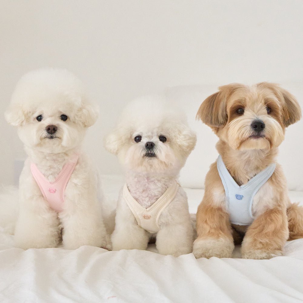 新品バーニーズニューヨークお散歩が楽しくなる極上おしゃれムートン/胴輪L/小型犬 BENNYS