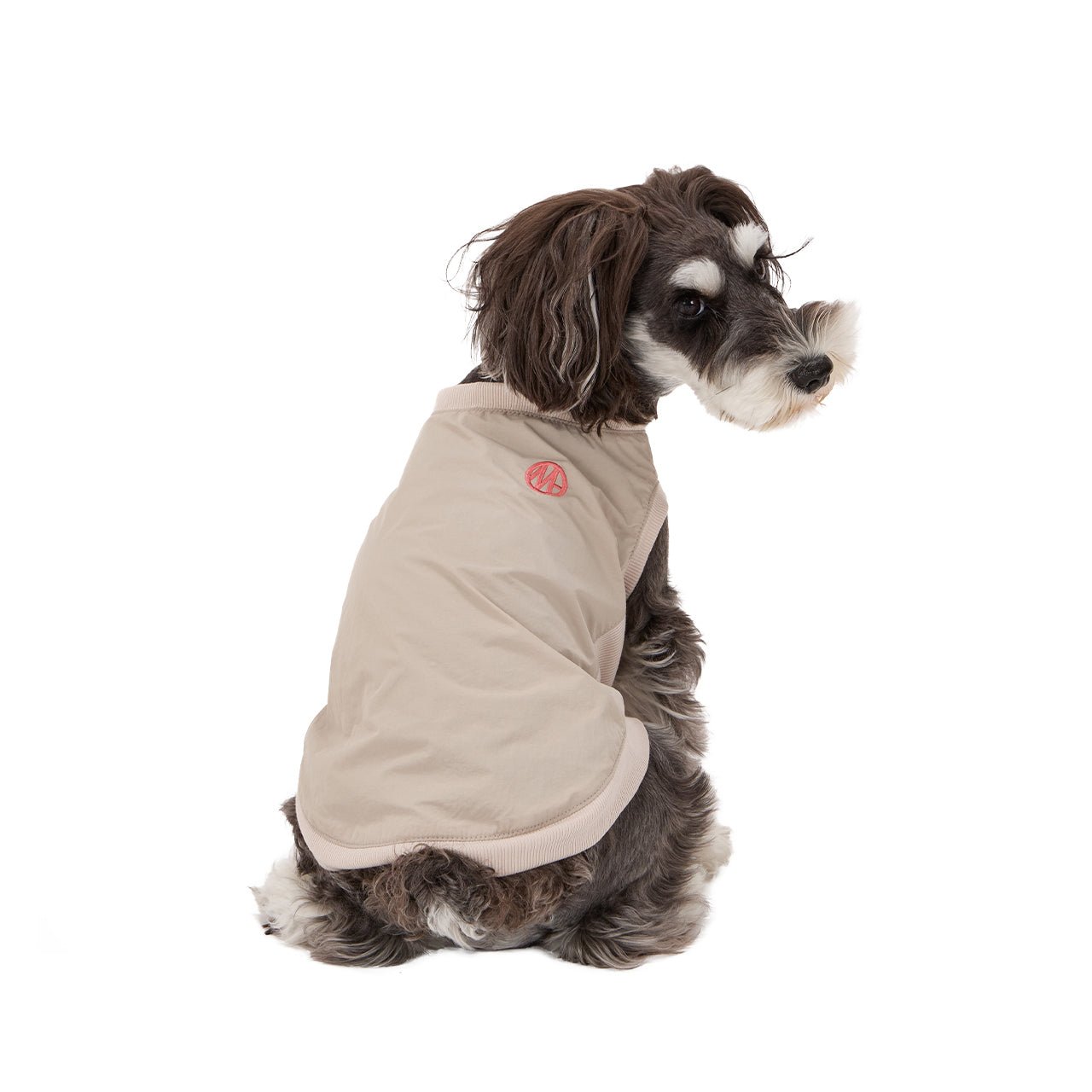 MANDARINE BROTHERS(マンダリンブラザーズ)  PISTE