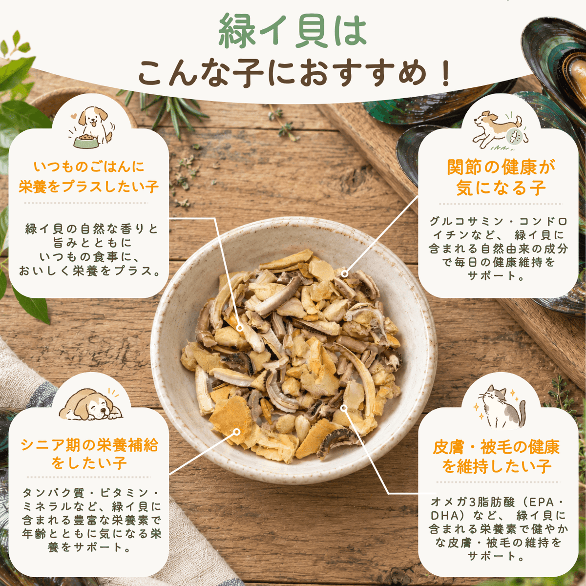緑イ貝 | フリーズドライトリーツ