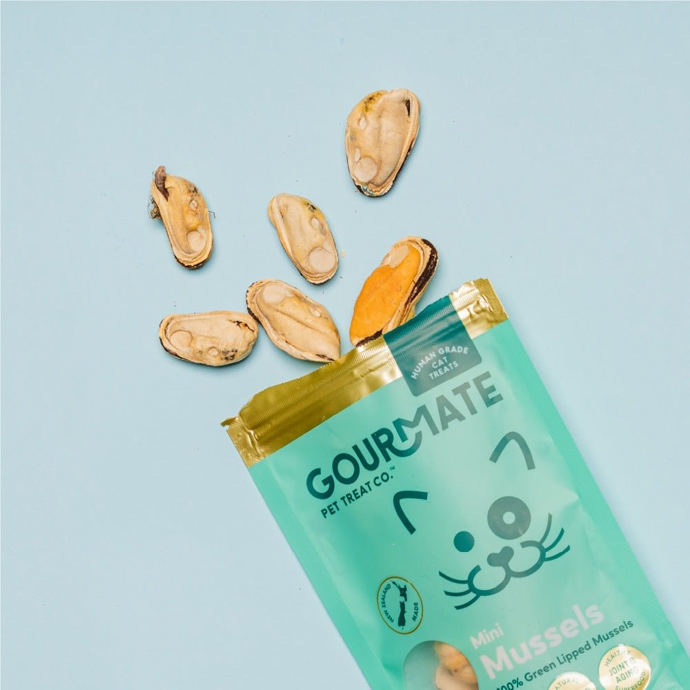 GOURMATE（グルメイト）フリーズドライ グリーンマッスル(緑イ貝)