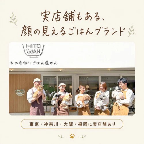 【定期便】乳酸菌デンタルガム（ショート）10本×3袋セット