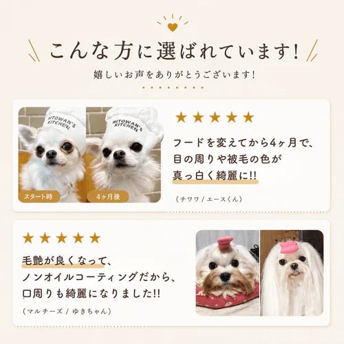 【定期便】国産ドッグフード フィッシュ 1.5kg｜低脂質 小粒 焼津産カツオ