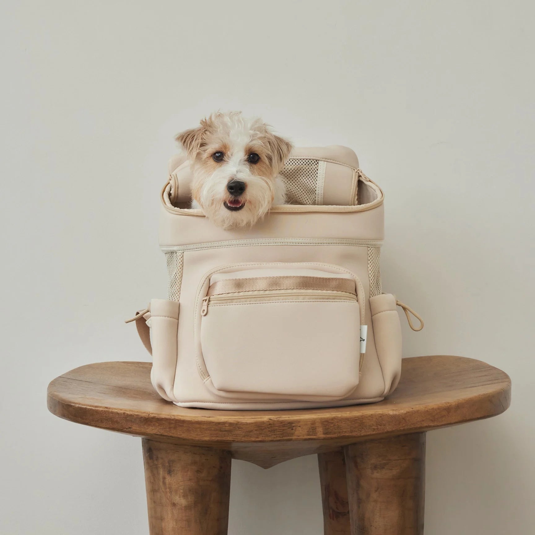 CITYDOG (シティードッグ)｜ネオプレーンバックパックキャリー リュック