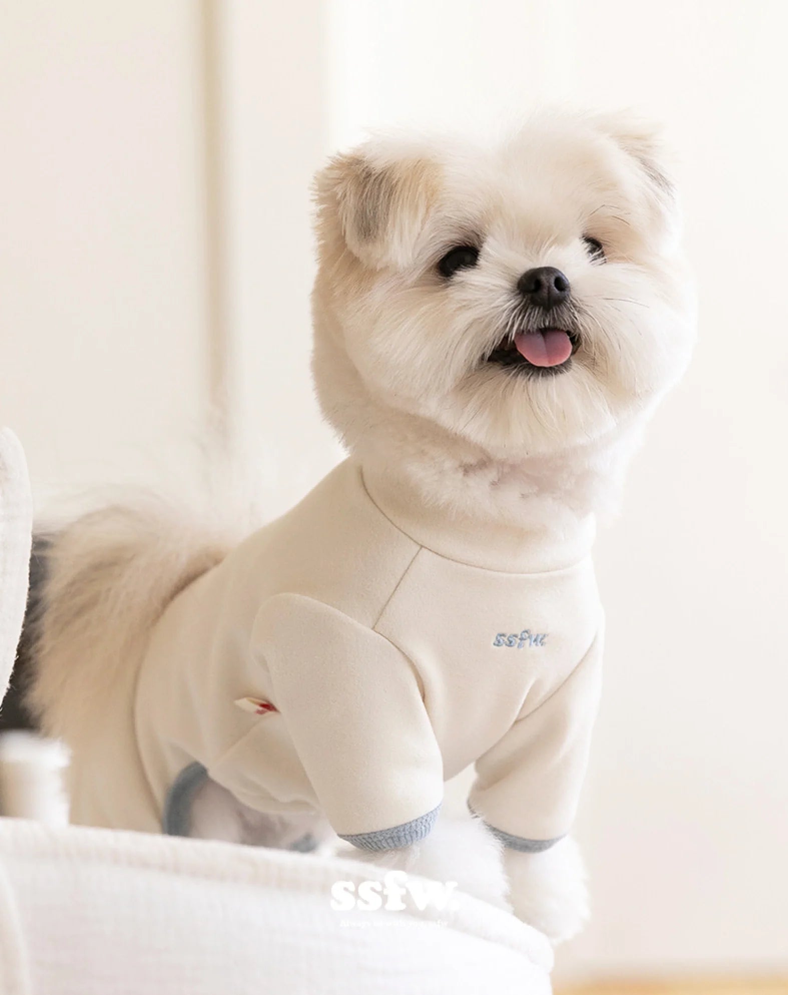 SSFW(エスエスエフダブリュー) Easy Cozy All in One （イージーコージー オールインワン）（3colors）