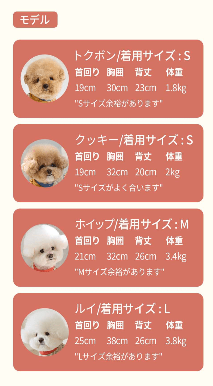 BENNYS(べニーズ)  ウィグリー Tシャツ (アイボリー)