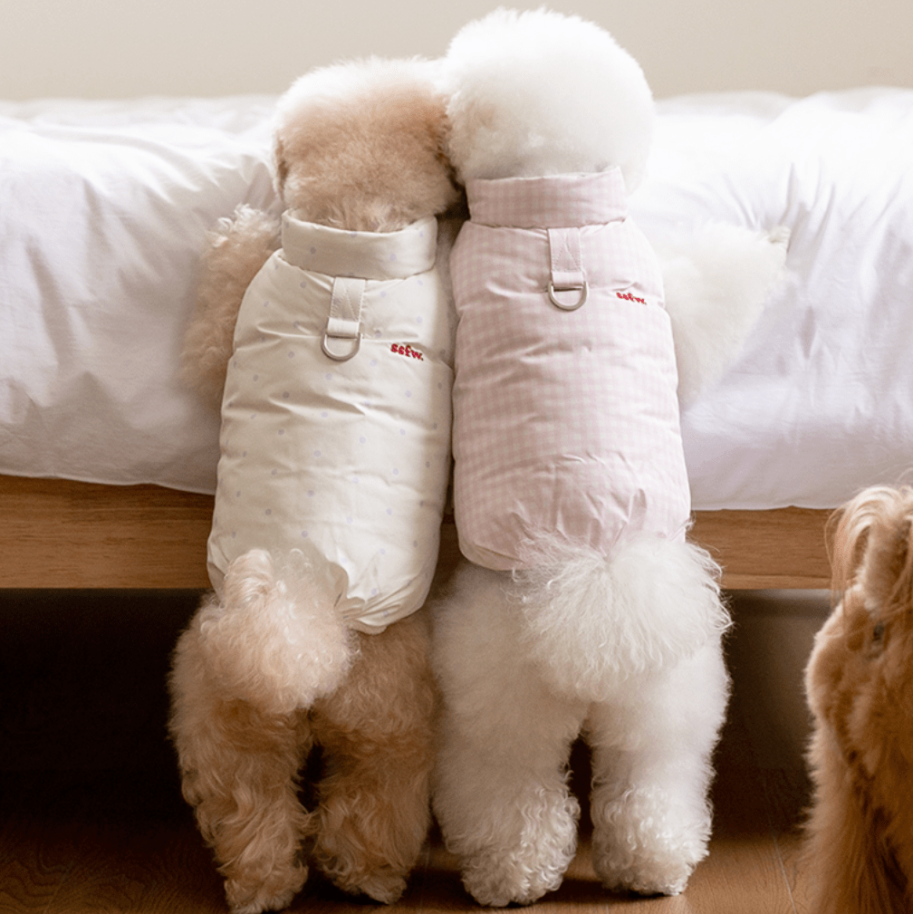 SSFW(エスエスエフダブリュー) モングル リバーシブル ダウンジャケット