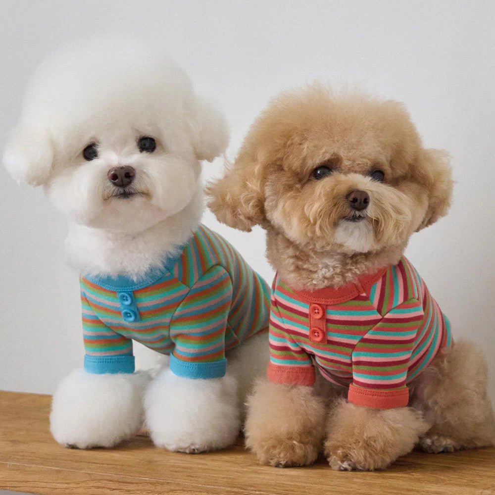 BENNYS(べニーズ)  モデスト Tシャツ