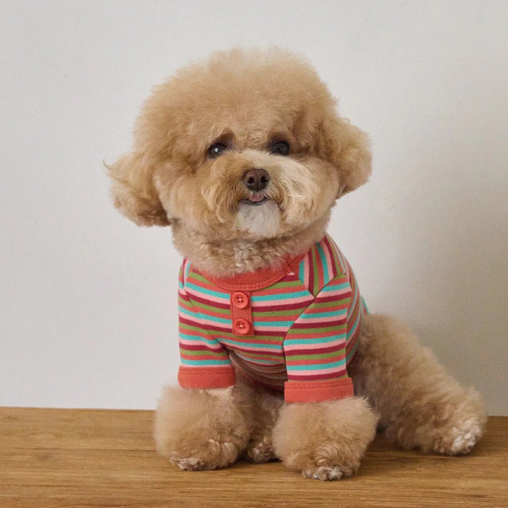 BENNYS(べニーズ)  モデスト Tシャツ