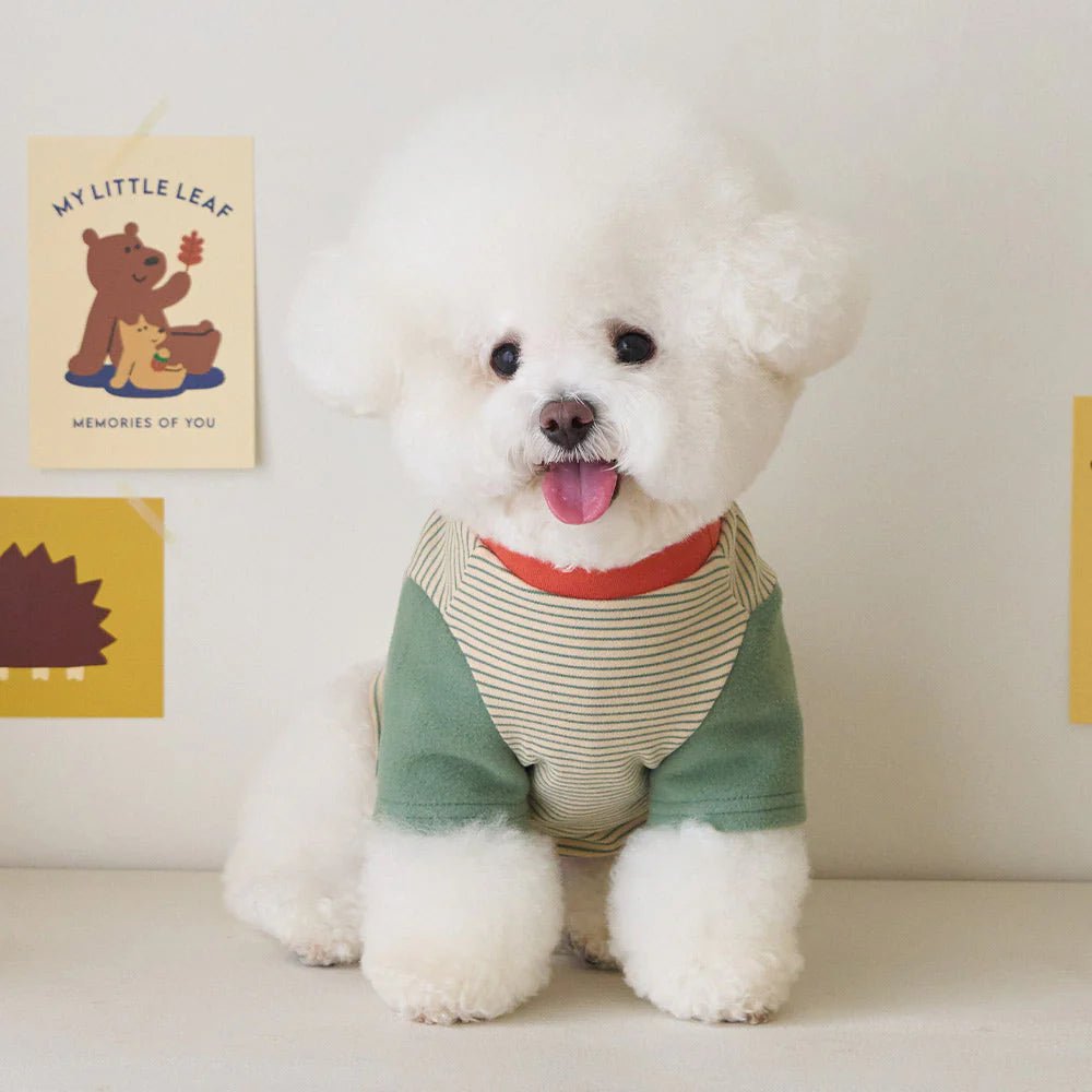 BENNYS(べニーズ)  ウィグリー Tシャツ (アイボリー)