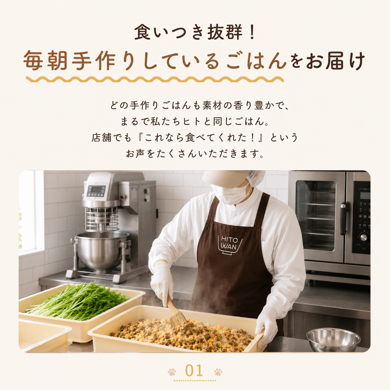手作りごはん 4種の人気キューブミックス(20キューブ)