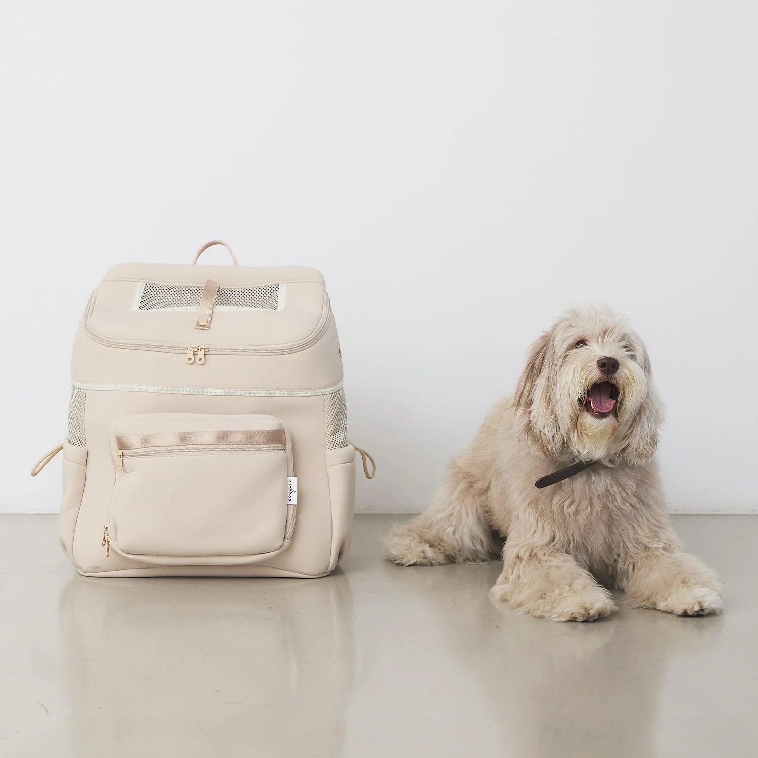 CITYDOG (シティードッグ)｜ネオプレーンバックパックキャリー リュック