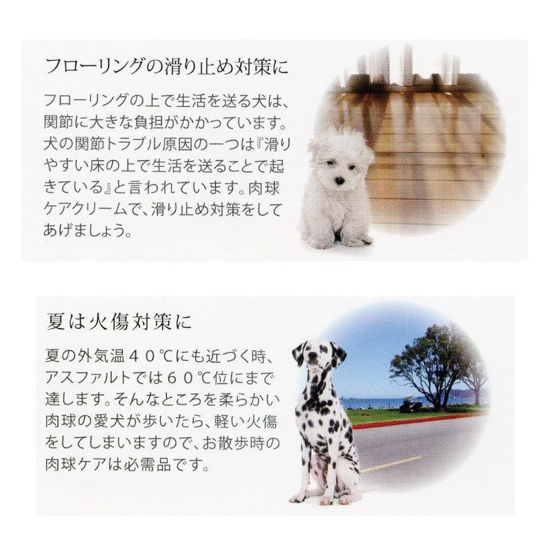 ナチュラルエイジングケア パウケア オールインワンジェルクリーム