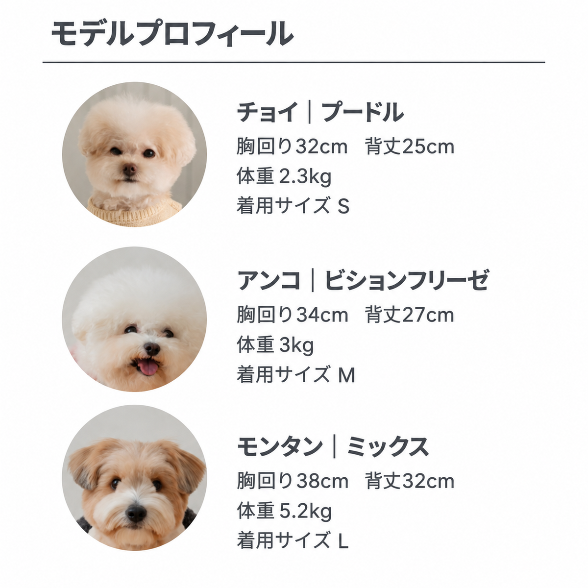 SSFW(エスエスエフダブリュー) マイ ベスティ ポンチョ