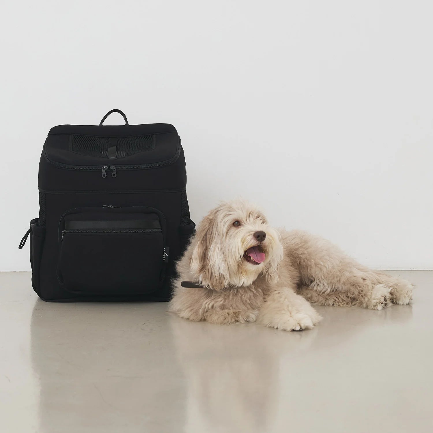 CITYDOG (シティードッグ)｜ネオプレーンバックパックキャリー リュック
