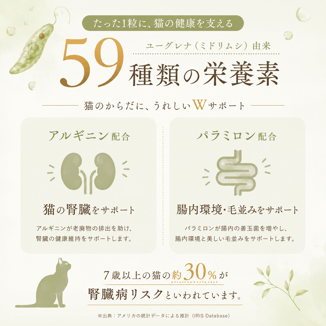 鰹と鶏肉のごはん | 選べるサイズ