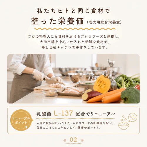 【定期便】鱈とパルメザンチーズのごはん(8キューブ)｜乳酸菌入り