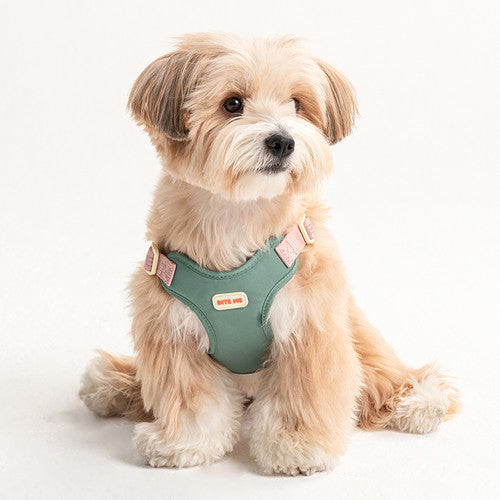 biteme (バイトミー) コンフォートハーネス v2