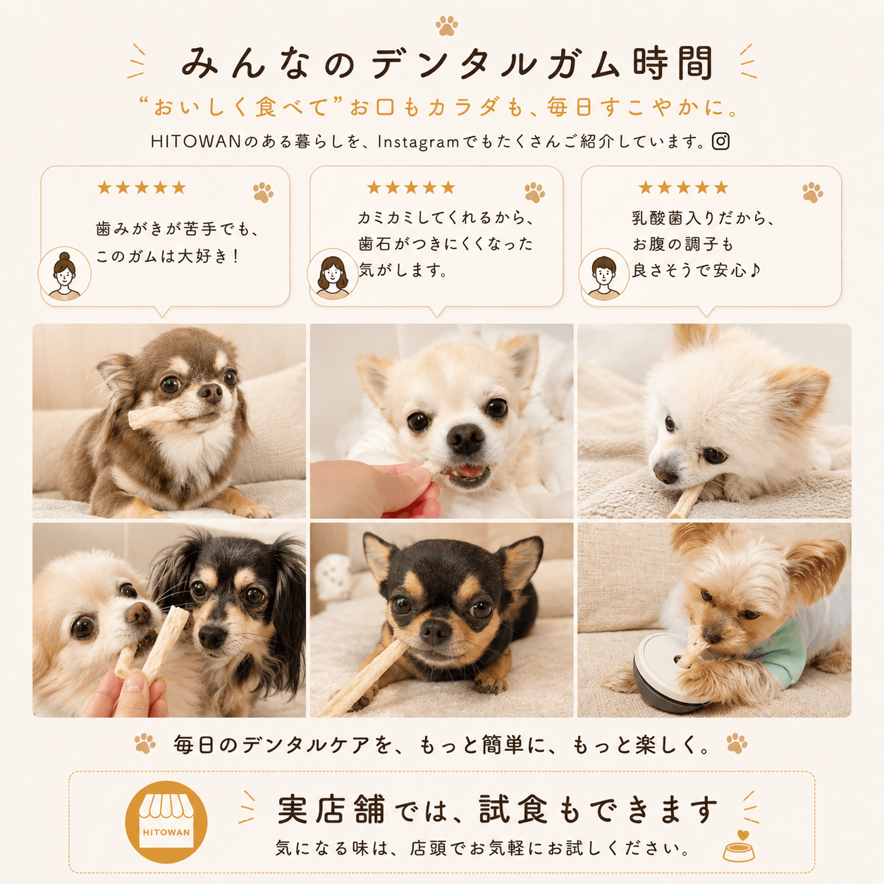 【送料無料】乳酸菌デンタルガム (10本入 × 3袋(30本))