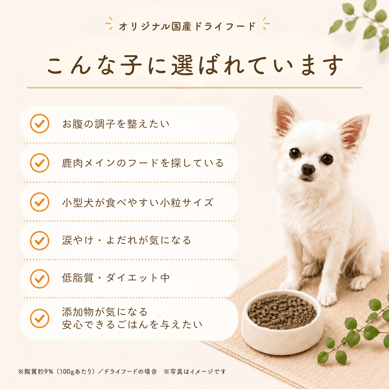 Domestic Dog Food Venison | Gut Health Lactic Acid Bacteria Low Fat Available in 3 Sizes